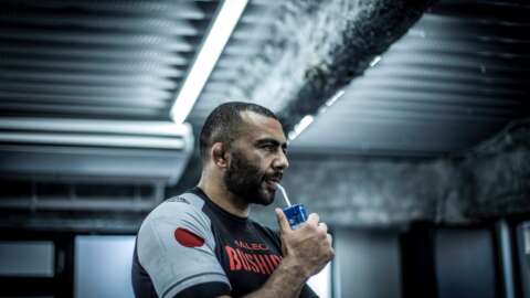 Haleo 01 sr